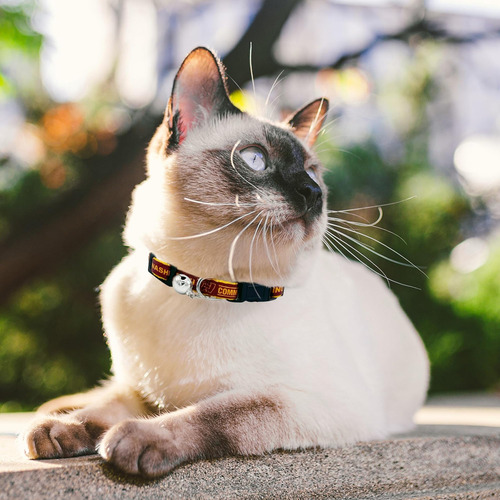 Pets First Nfl Cat Collar Washington Commanders Collar De Sa