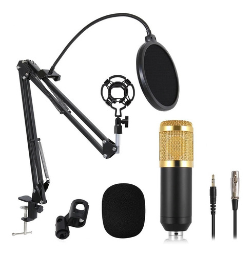 Imagen 2 de 2 de Microfono Con Brazo Estudio Condensador Podcast Bm 800