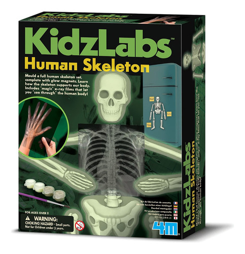 Kit Juego Ciencia Esqueleto Humano Moldes Rayos X 4m Cresko