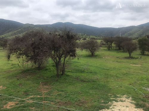 Sitio En Venta En Melipilla