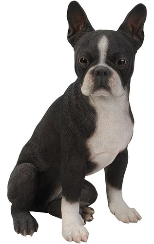 Realista Tamaño Natural Boston Terrier Estatua Escultura Det