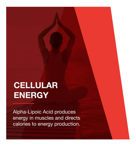 Protocol Ácido Alfa Lipoico 600 Mg - Extracto De Semilla De