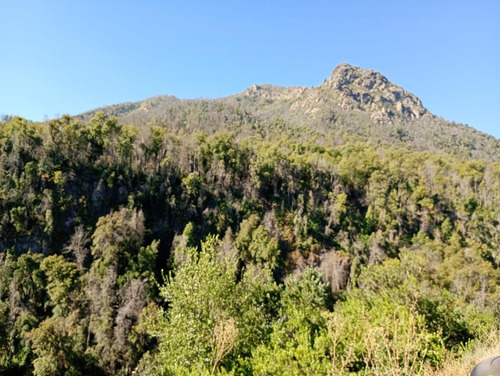 Molina, Radal Parcela De 5.000 M2 Rodeada De Bosque Nativo