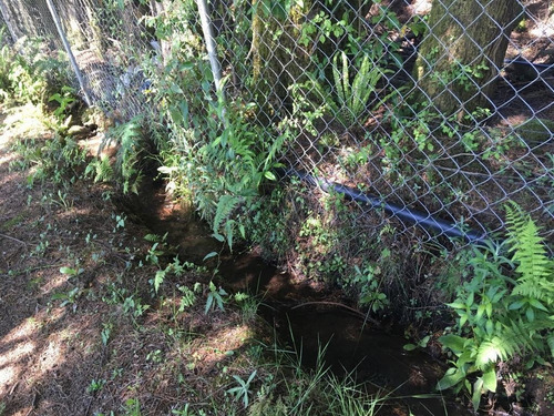 Imagen 6 de 7 de Terreno En Venta