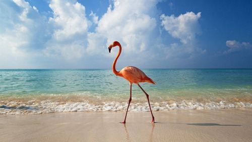 Aldea Holbox, Primer Desarrollo Residencial Cercano A Holbox, Venta Deterrenos