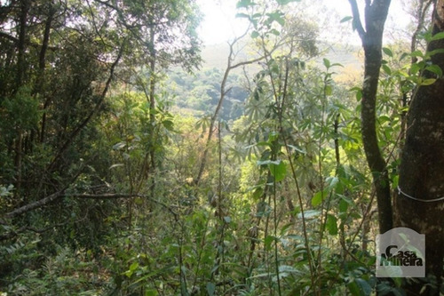 Imagem 4 de 10 de Lote Em Condomínio À Venda No Arvoredo - Código 218875 - 218875