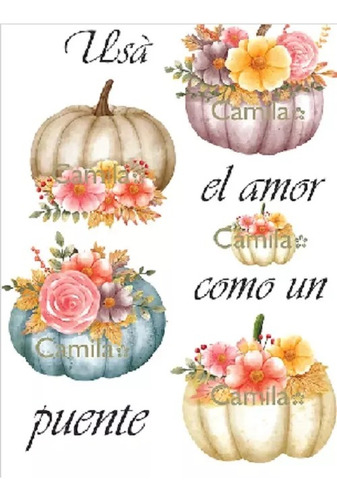Lamina Sublimacion Camila Calabazas S412 A4 {182-0024_cala41