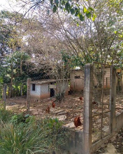 Imagem 9 de 30 de Sitio - St00009 - 71012728