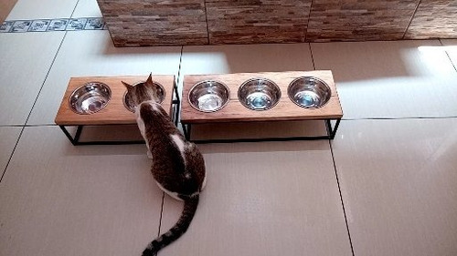 Cama Y Comedero Para Gatos