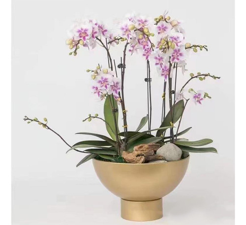Maceta Decorativa Para Jardín, Maceta Para Plantas De L