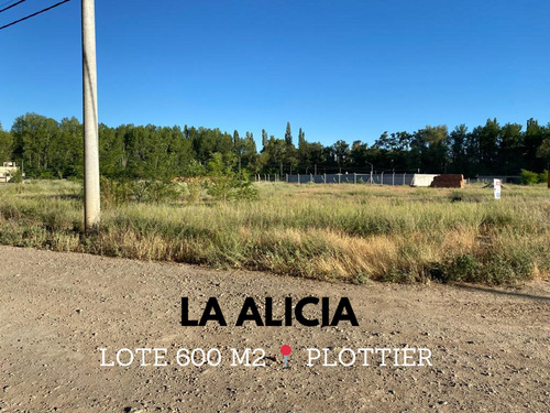 Venta Lote De 599 M2 En Loteo La Alicia Plottier