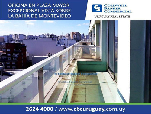 Alquiler De Oficina - Plaza Independencia - Ciudad Vieja