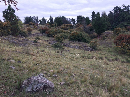 Imagen 7 de 7 de Especaulares 2.2 Ha En Villa Berna!!!445