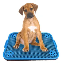 Comprar Bandeja Sanitaria Plana 60 X 40 Cm. Para Adiestrar Perros