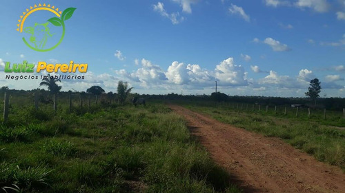 Imagem 7 de 9 de Fazenda  Venda Em Breu Branco - Pa - 2662 Hectares (dupla Aptidão) - 1854