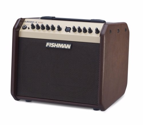 Cubo Fishman Loudbox Mini Pro Lbx Ex5- 60 Wts   - 110v