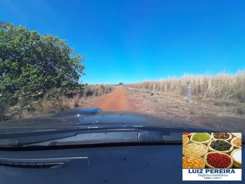 Imagem 5 de 15 de Fazenda Venda Em Pium - To - De 186 Alqueirões (dupla Aptidão) - 1478
