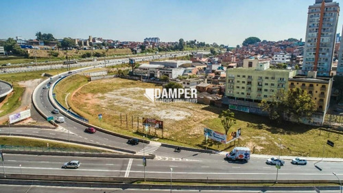 Imagem 11 de 15 de Terreno Para Alugar No Bairro Centro - São Bernardo Do Campo/sp - 361