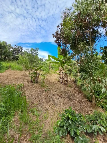 Finca En Restrepo Valle