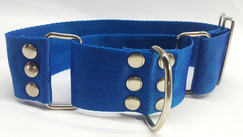 Collar Para Galgo Martingale 5 Cm Ancho Anti Ahogo