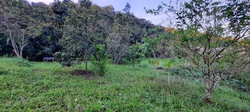 Imagem 7 de 27 de Chácara Com 1 Dormitório À Venda, 2525 M² Por R$ 230.000,00 - Parque Serra Mar - Peruíbe/sp - Ch0181