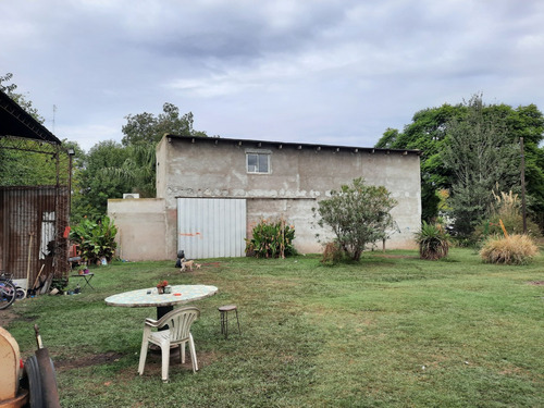 Hermoso Campo De 5,6 Hectareas En La Violeta (partido De Pergamino)