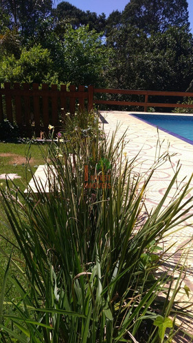 Imagem 3 de 15 de Chacara - Ref: 7259 - V-7259