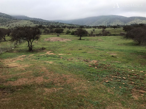 Sitio En Venta En Melipilla