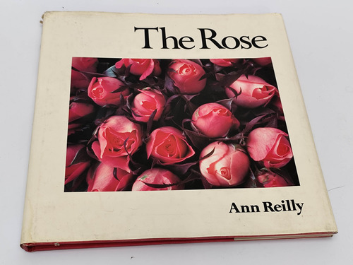 The Rose - Ann Reilly (Usado)