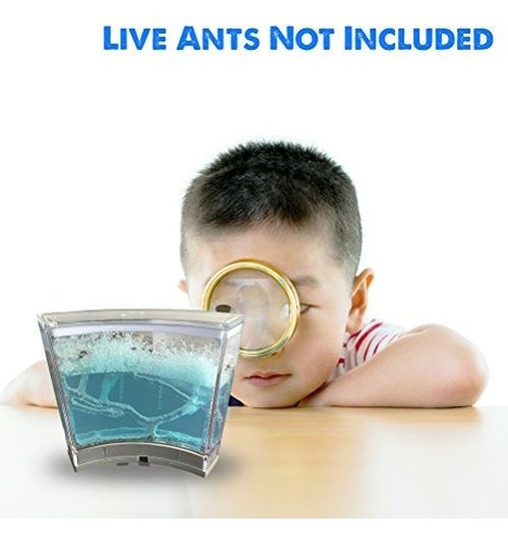 Ant Farm Con Luz Led. Disfruta De Un Magnifico Ecosistema. I
