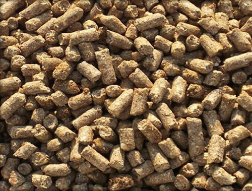 Ración Comida Balanceada Conejo 5 Kilos