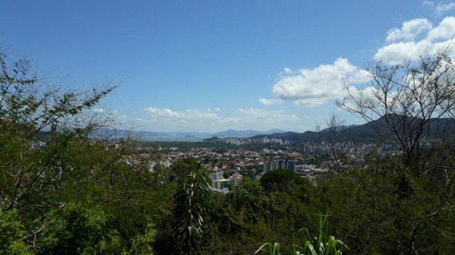 Imagem 3 de 9 de Terreno Em Córrego Grande, Florianópolis/sc De 507m² À Venda Por R$ 370.000,00 - Te412346-s
