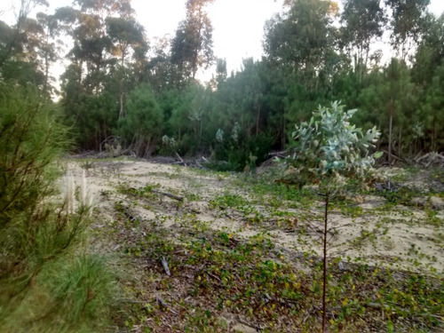 Imagen 3 de 9 de La Esmeralda, Rocha, Uruguay, Venta, Lote, Terreno, Solar.