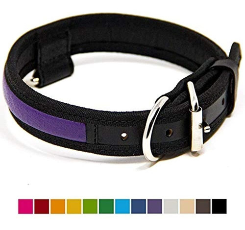 Collar De Perro De Cuero Premium De Cuero Logico: Los Mejor