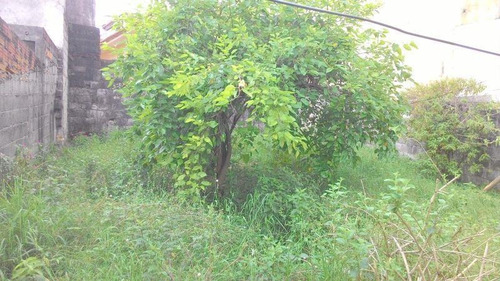 Imagem 5 de 5 de Excelente Terreno - Te0444