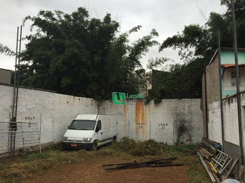 Imagem 3 de 3 de Terreno À Venda, 648 M² Por R$ 1.450.000 - Vila Amélia - São Paulo/sp - Te0140