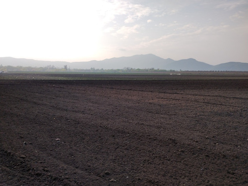 Imagen 2 de 5 de Gran Oportunidad. Se Vende Terreno Agrícola De 8,3 Hectareas