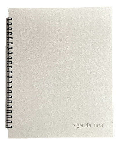 Agenda Ejecutiva 2024 De Escritorio  50 Piezas