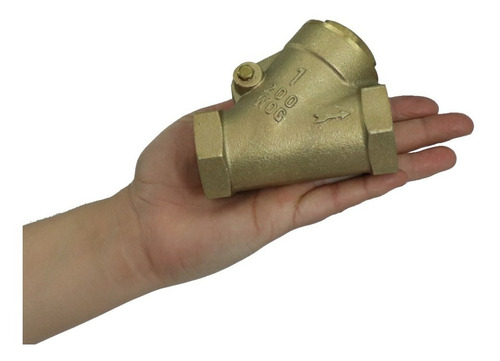 Valvula Check Retencion Columpio 1puLG 21600320