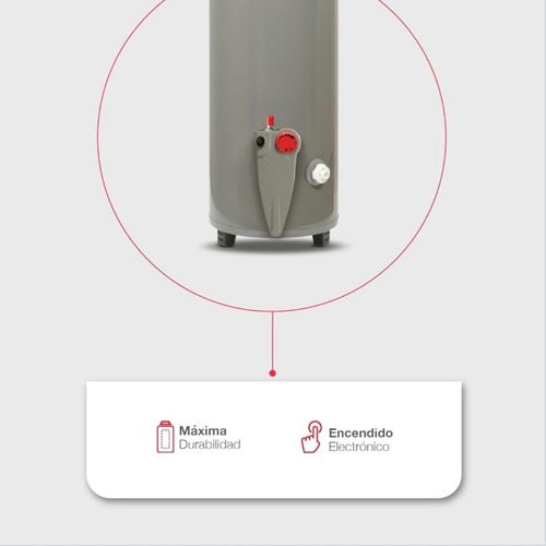 Calentador De Agua Rheem Gris Oscuro Glp