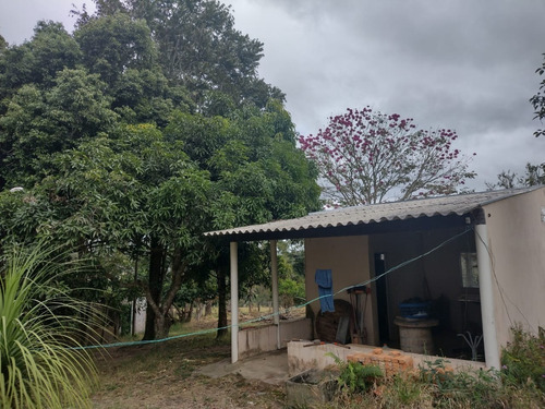 Imagem 26 de 30 de Chácara 4,5 Alqueires Casa Simples E Boa,poço Caipira Agua Cristalina,corrego No Fundo,fácil Acesso 800mts Do Asfalto,ótimo Pasto,27 Kms Itapetininga - Ch00081 - 69505662