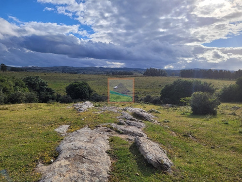 Imagen 9 de 25 de 20has De Campo Sobre Ruta 12 Pueblo Edén