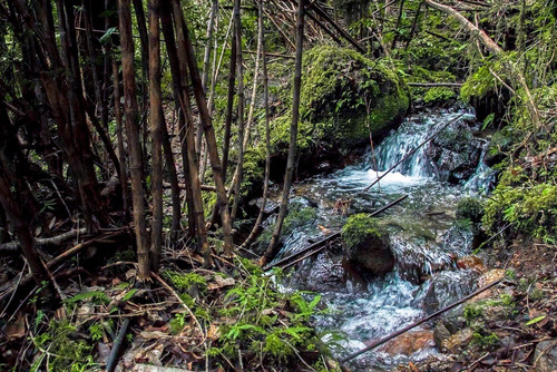 1 Hectárea Con Río Y Bosque | Tinquilco - Huerquehue - Pucón