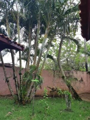 Imagem 3 de 8 de Casa 700 Mts Do Mar Em Itanhaém Sp | Aceita Financiamento!