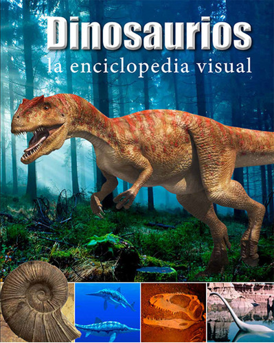 Libro Dinosaurios -aa.vv