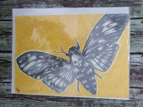 Dibujo Silencio De Los Inocentes Butterfly 