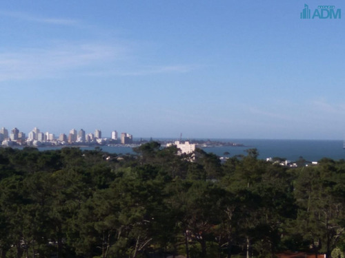 Imagen 2 de 19 de Excelente Apartamento