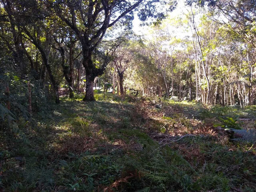Imagem 9 de 14 de Lindo Terreno Com Otima Topografia Px Ão Centro