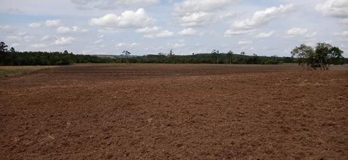Imagem 23 de 29 de Fazenda 155 Alqueires, Terra Fértil, Rica Em Água Com Rio, 120 Alqueires Para Lavoura, 20 Alqueires Em Eucalipto, Casa Sede, Casa Caseiro, Curral - Fa00262 - 70837159