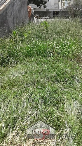 Imagem 2 de 7 de Terreno Na Vila Mazzei - 3575-1